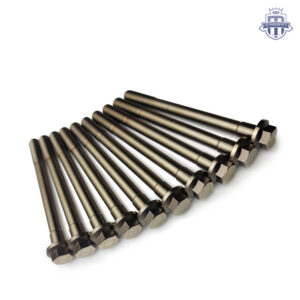Magnus McLaren Head Studs and L19 Main Bolts