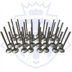 Magnus Mclaren M838 and 840 Stainless Super Alloy Valves