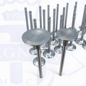 Magnus Mclaren M838 and 840 Stainless Super Alloy Valves