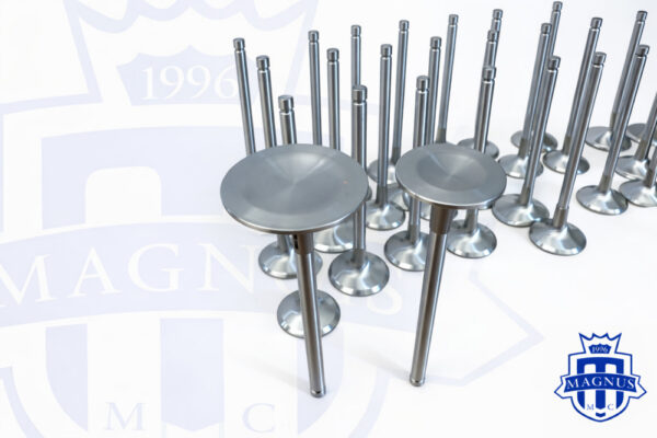 Magnus Mclaren M838 and 840 Stainless Super Alloy Valves