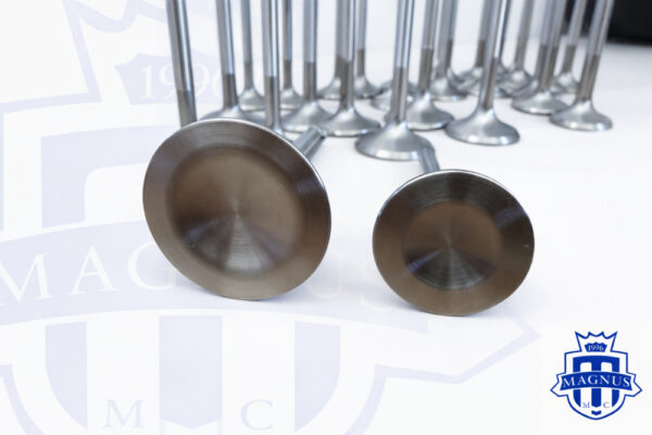 Magnus Mclaren M838 and 840 Stainless Super Alloy Valves