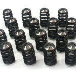 Magnus 4G63 Valve Springs